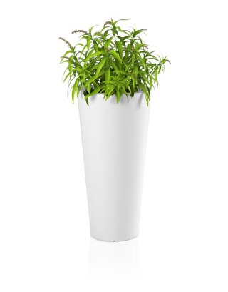 DESIGNERSKA DONICA MONUMO HABANA ANTRACYTOWA