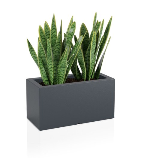 DESIGNERSKA DONICA MONUMO LUNGO ANTRACYTOWA