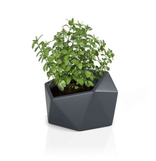 DESIGNERSKA DONICA MONUMO VESARI ANTRACYTOWA