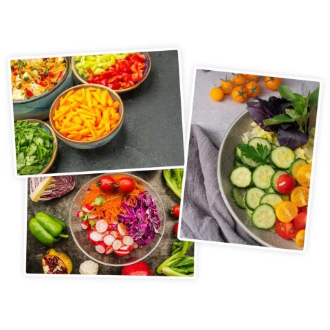 MASZYNKA DO MIELENIA MIĘSA BD-600 BERDSEN 300/800W