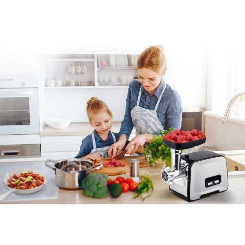 MASZYNKA DO MIELENIA MIĘSA BD-601A BERDSEN 450/1200W