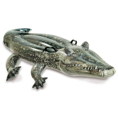 ALIGATOR DMUCHANY DO PŁYWANIA 170 X 86 CM INTEX 57551 ALIGATOR DMUCHANY DO PŁYWANIA 170 X 86 CM INTEX 57551