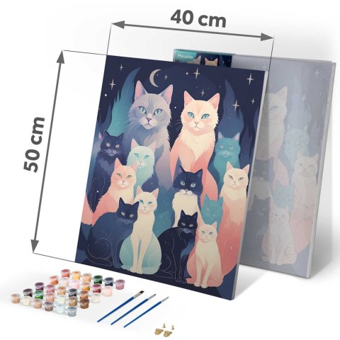 OBRAZ DO MALOWANIA PO NUMERACH 40X50 CM MASSIDO KOTY