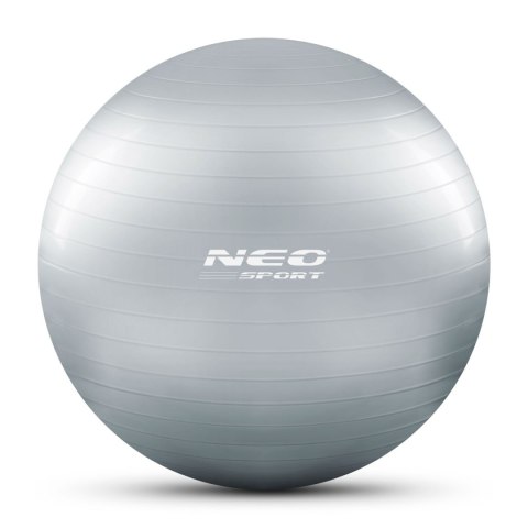 PIŁKA DO ĆWICZEŃ 65 CM NS-951 SREBRNA