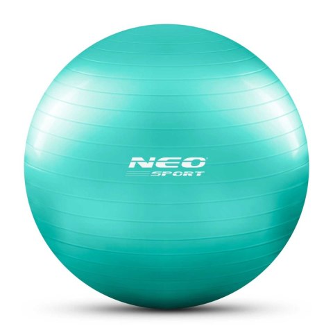 PIŁKA DO ĆWICZEŃ 65 CM NS-951 TURKUSOWA PIŁKA DO ĆWICZEŃ 65 CM NS-951 TURKUSOWA