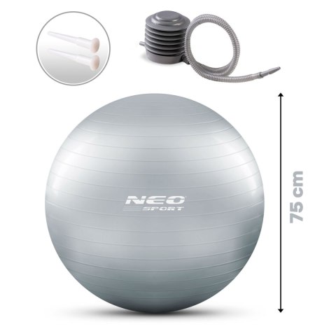 PIŁKA DO ĆWICZEŃ 75 CM NS-952 SREBRNA