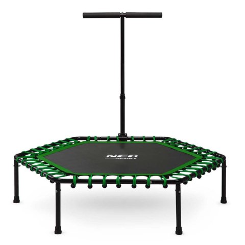 TRAMPOLINA FITNESS Z UCHWYTEM 127 CM NEO-SPORT - SZEŚCIOKĄTNA ZIELONA