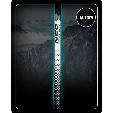 KIJKI TREKKINGOWE NS-381 NEO-SPORT