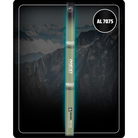 KIJKI TREKKINGOWE NS-383 NEO-SPORT