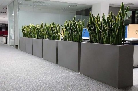 DESIGNERSKA DONICA MONUMO LONGERINO BIAŁA