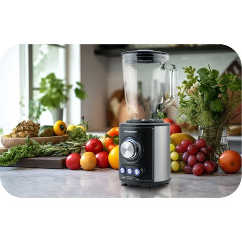BLENDER KIELICHOWY 800W BD-751 BERDSEN CZARNY